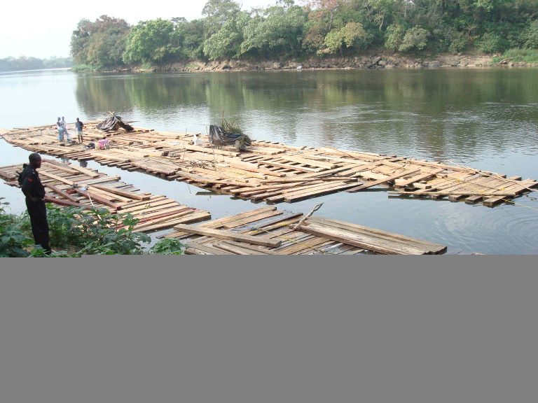 Illegal Cross-border Timber Trade Costs Cameroon Fortunes