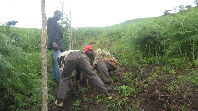 Farmers ‘Fence Off’ Cattle Herders