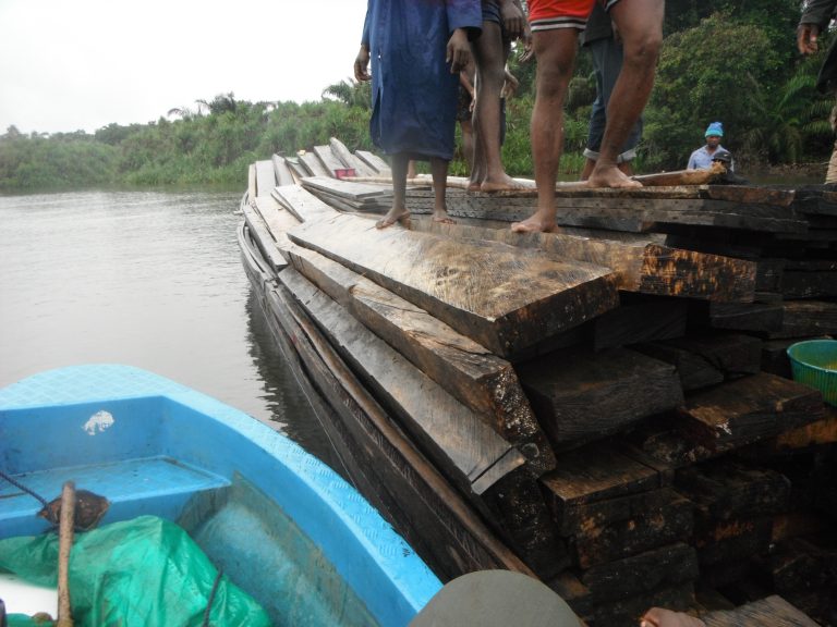 Minister, Stop Nigerians Destroying Bakassi Forests!