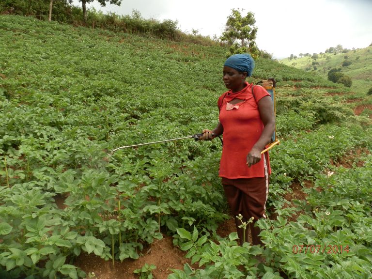 Banso Farmlands Need New Life