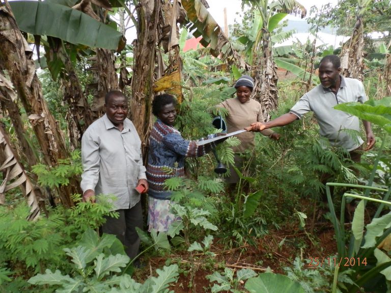 Forest Gardening Helps More Farmers Boost Yields