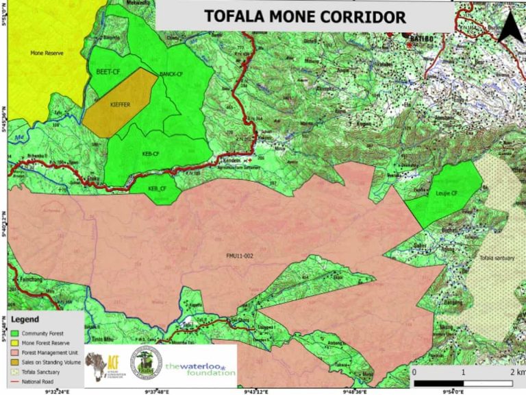 Achieving Conservation and Improving Livelihoods in the Lebialem Highlands.