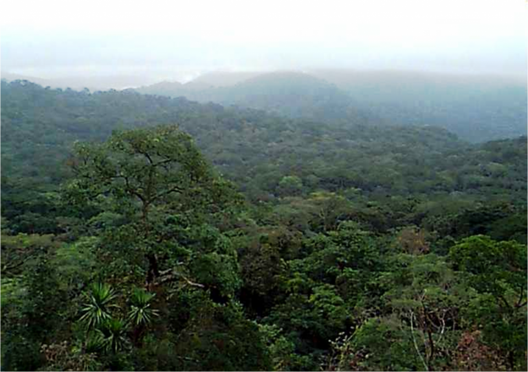 Kimbi Fungom National Park, Prospective Category 1 Protected Area