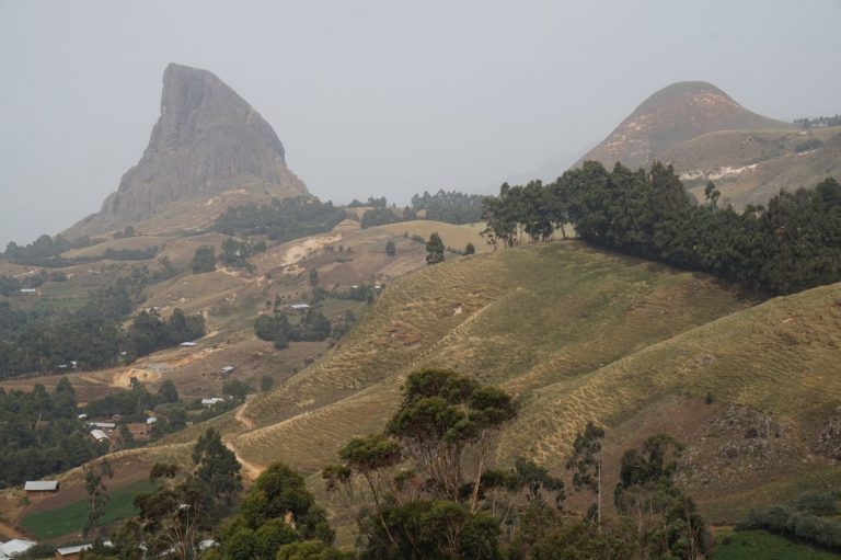 Discover Mt Bamboutos:  Cameroon’s Key Watershed with High Diversity Undergoing Depletion