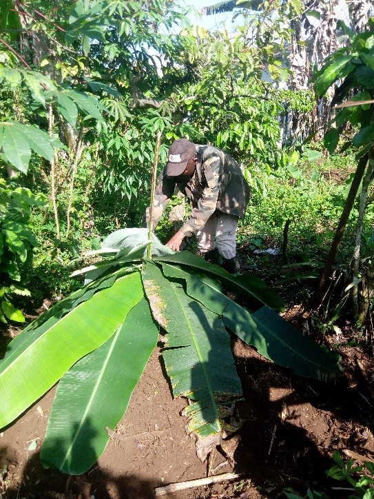 Small holder farmers at Nlonako Muanenguba mountains gain capacity on composting