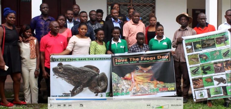 Exigent Actions Needed To Save Frogs in Cameroon