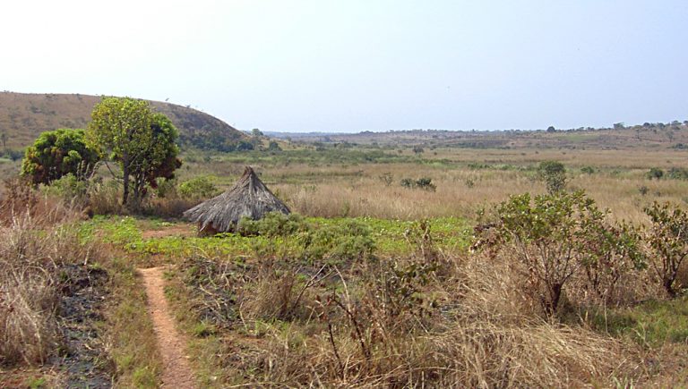 The Adamawa high plateau catchment area under intense modification