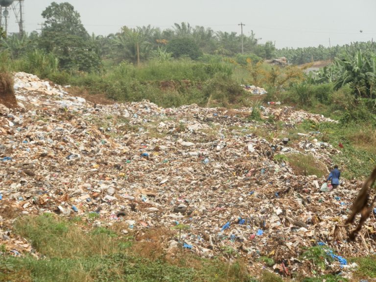 Plastic Bags Might Bag Environmental Plague Award