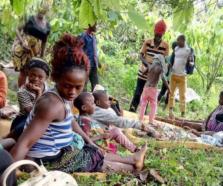 Biodiversity in crisis in the Lebialem Highlands