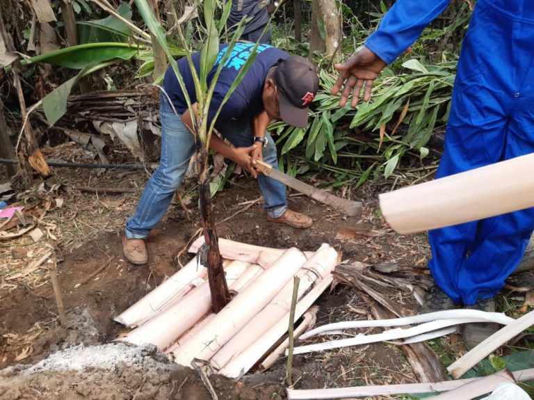 Training of trainers on forest gardens