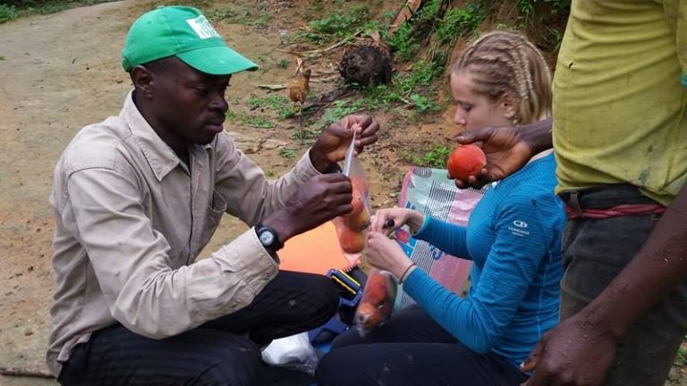 Bitter Kola Hunt In Lebialem: The Sweet-Bitter Tale Of A Czech