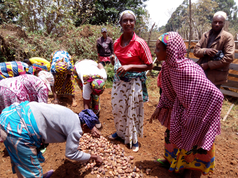 Pastoralists increasingly join the Mount Bambotous Initiative